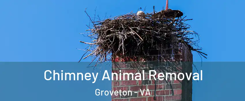  Chimney Animal Removal Groveton - VA