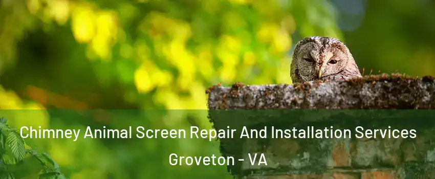  Chimney Animal Screen Repair And Installation Services Groveton - VA
