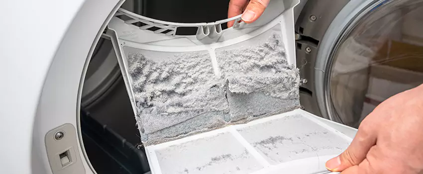 Best Dryer Lint Removal Company in Groveton, Virginia